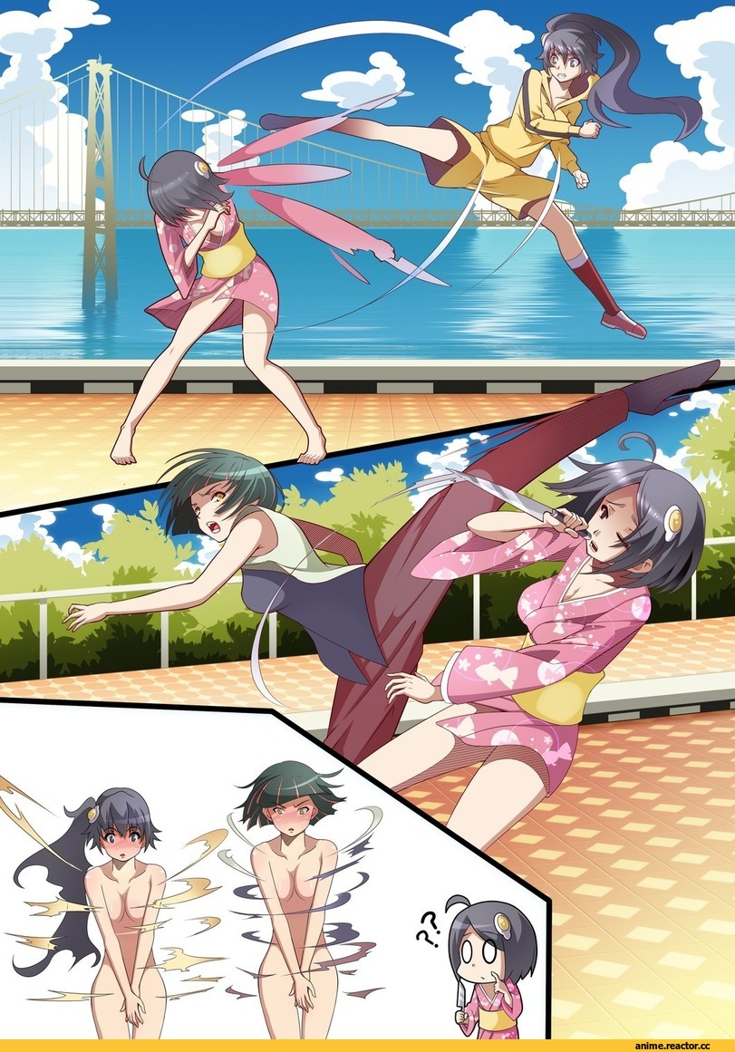 Araragi Karen, Monogatari (Series), Araragi Tsukihi, Kagenui Yozuru, Anime Ero, Anime
