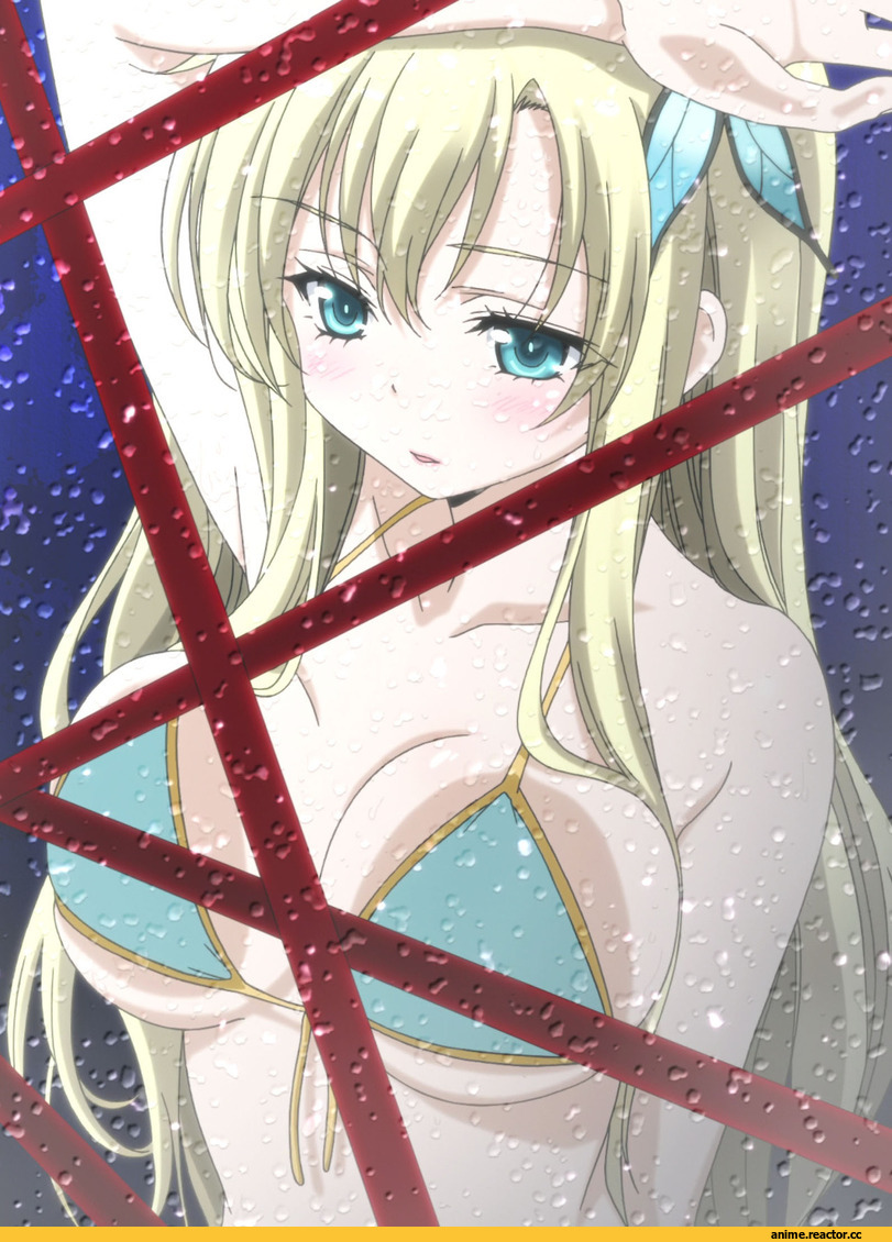 Sena Kashiwazaki, Anime Ero, Anime