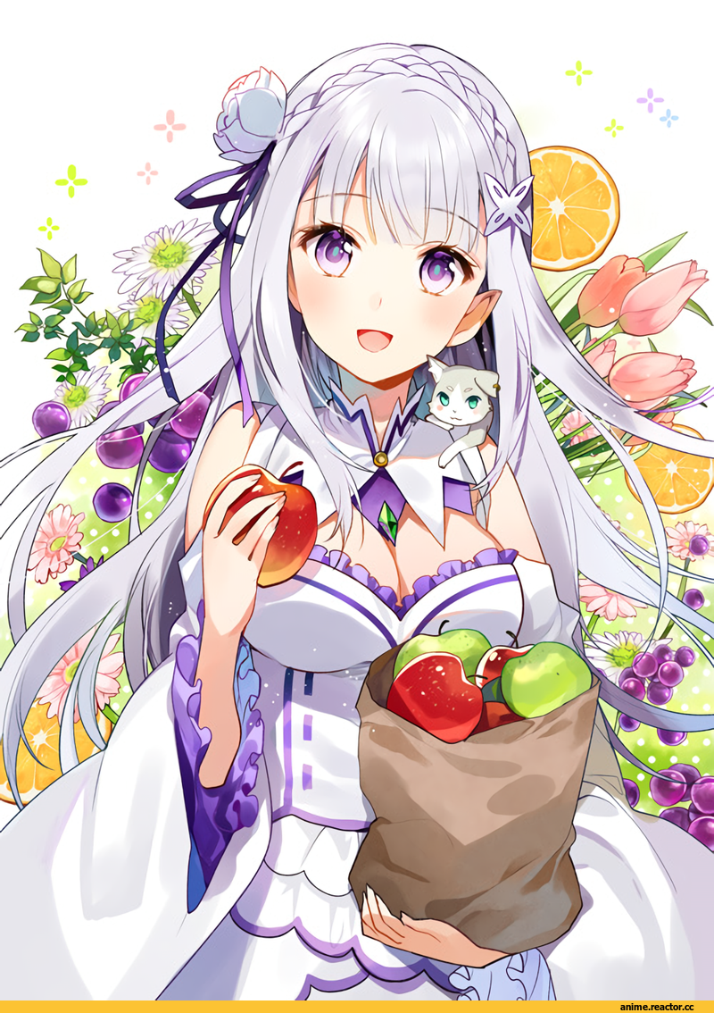 Emilia (re zero), Re Zero Kara Hajimeru Isekai Seikatsu, Anime