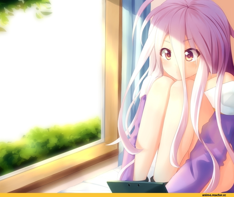 Shiro (NGNL), No Game No Life, Anime