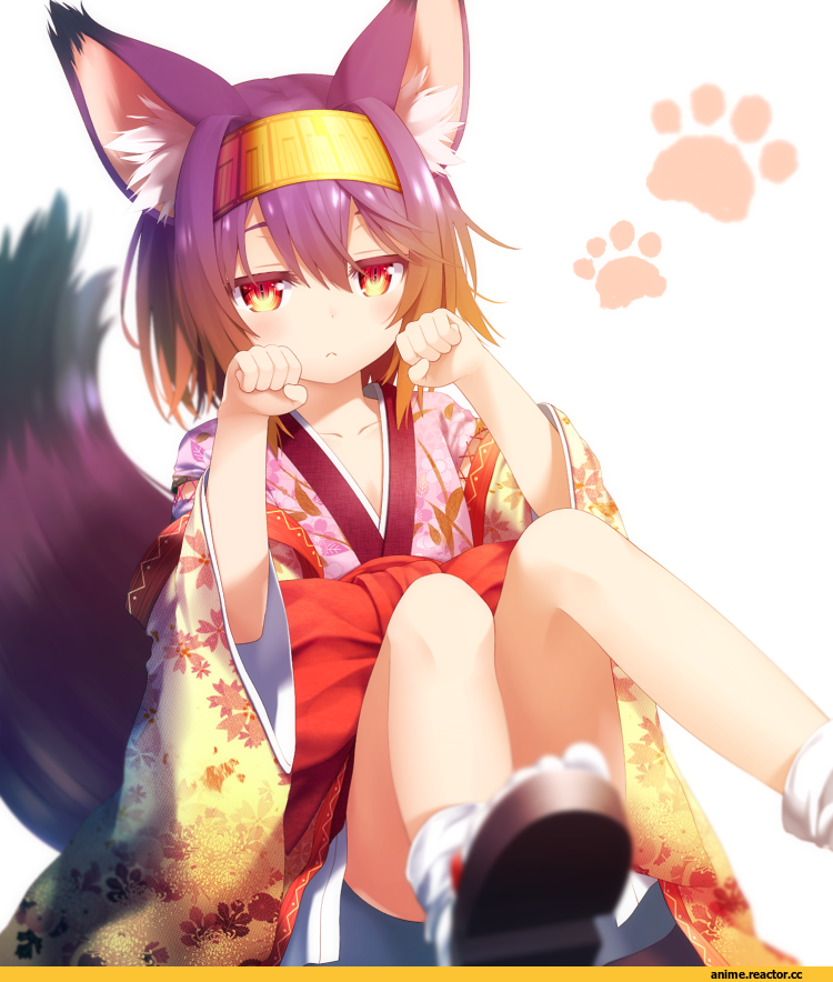 Hatsuse Izuna, No Game No Life, Anime