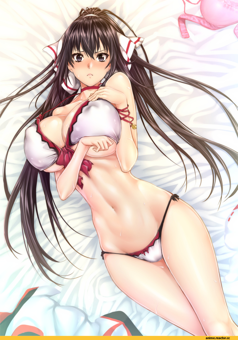 shinonono houki, Anime Ero, Anime