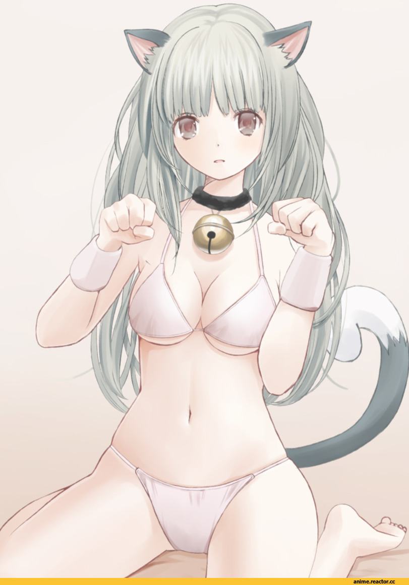 Anime Original, Anime Art, Animal Ears, nekomimi, Anime Ero, Adult pantsu, Anime