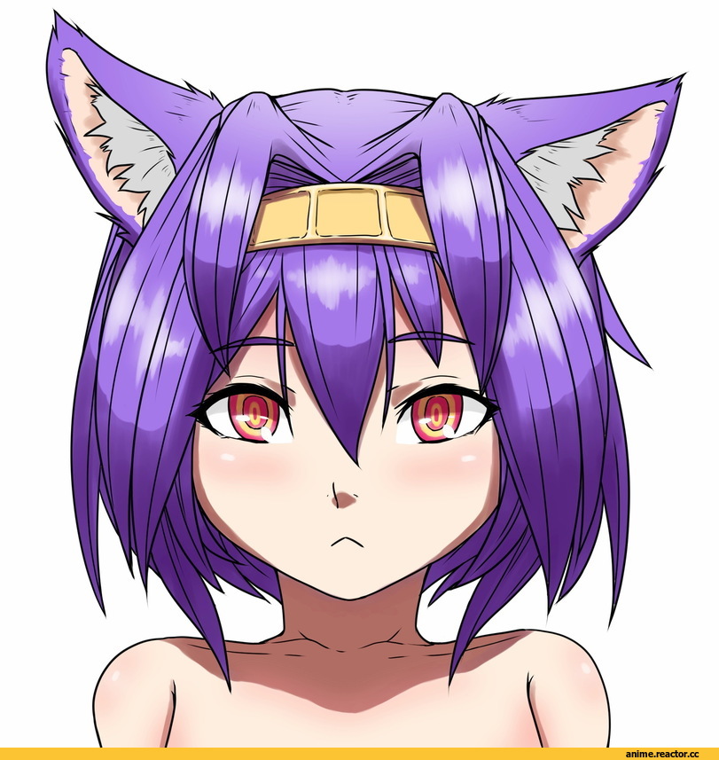 Hatsuse Izuna, No Game No Life, Rolly, Animal Ears, Anime