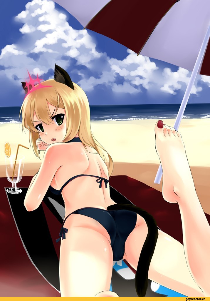 Heinrike Prinzessin Zu Sayn-Wittgenstein, Strike Witches, nekomimi, Animal Ears, Anime Ero Swim, Anime Ero, Anime