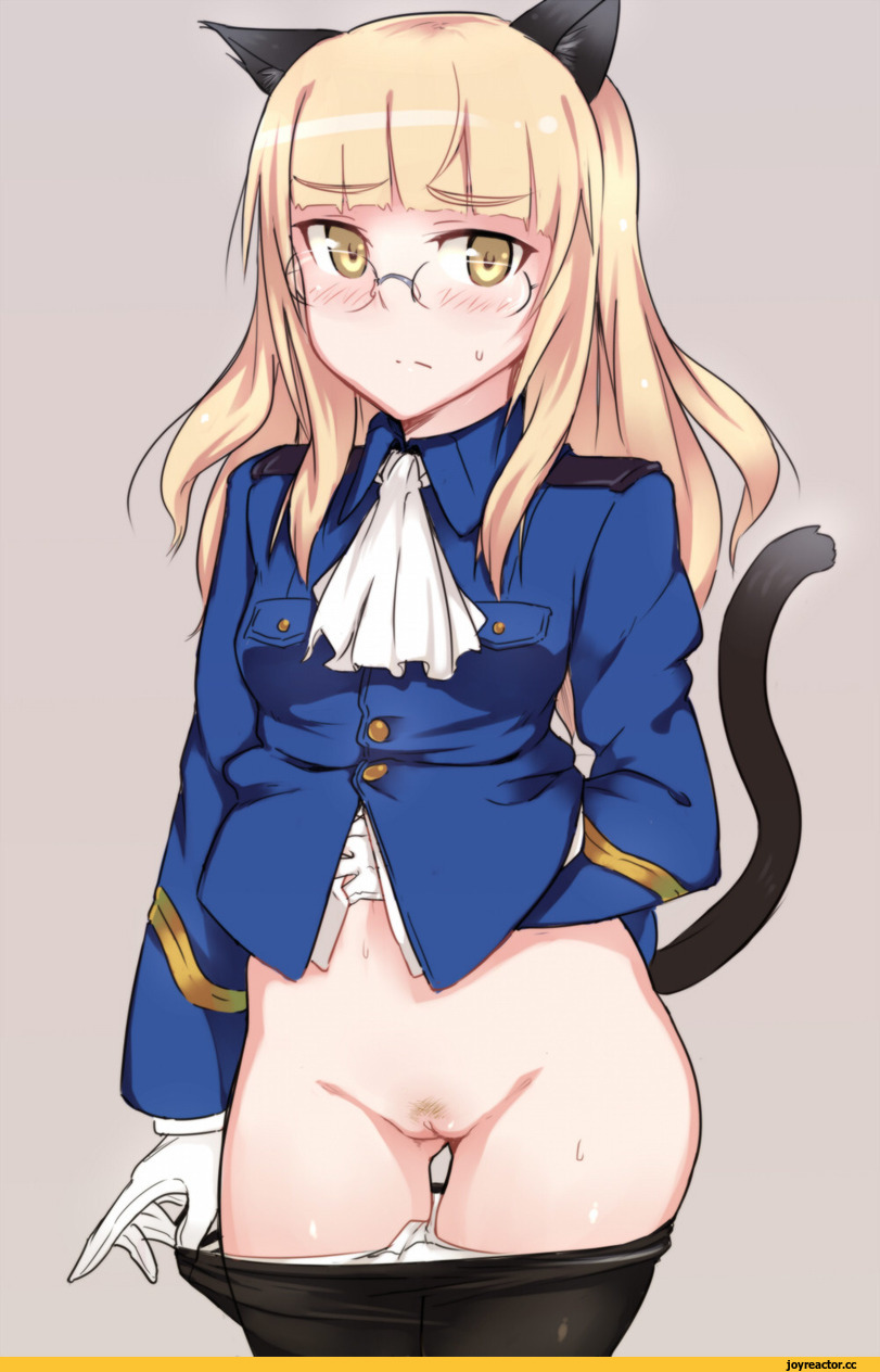 Perrine H. Clostermann, Strike Witches, Anime Ero Pussy, Anime Ero, nekomimi, Animal Ears, Anime Ero Megane, Anime Adult pantsu, Em, Anime