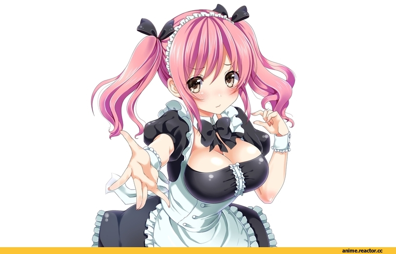 Maid, Anime