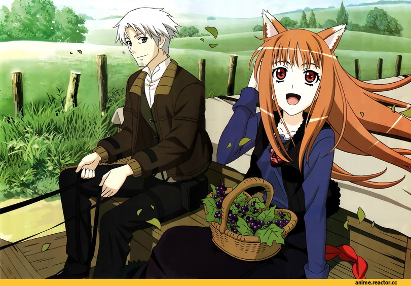 Spice and Wolf, Inumimi, Animal Ears, Anime