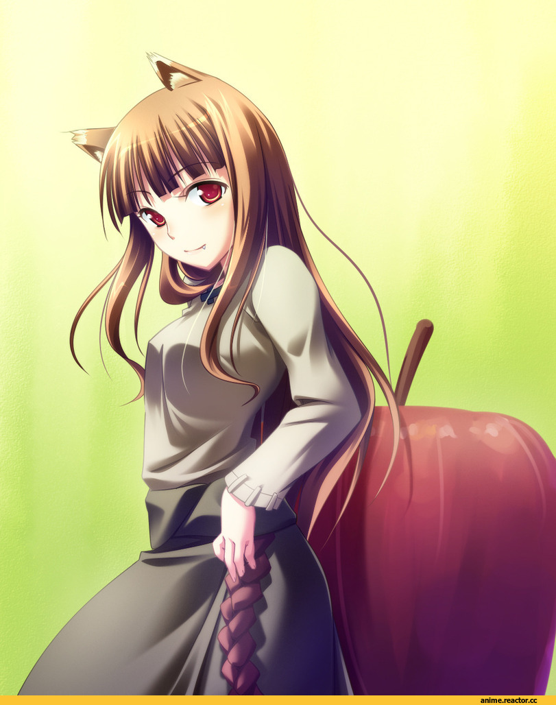 Spice and Wolf, Horo, Inumimi, Animal Ears, Anime