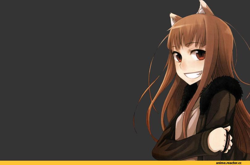Spice and Wolf, Horo, Inumimi, Animal Ears, Anime