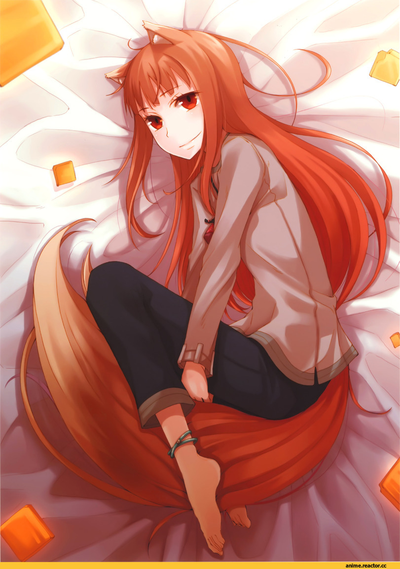 Spice and Wolf, Horo, Inumimi, Animal Ears, Anime