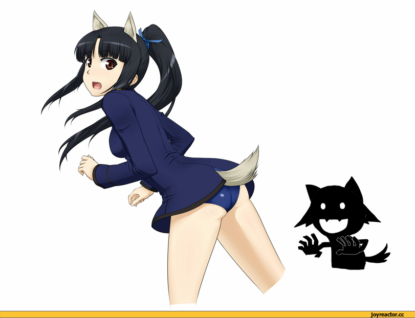 Strike Witches, hattori shizuka, Inumimi, Animal Ears, Anime