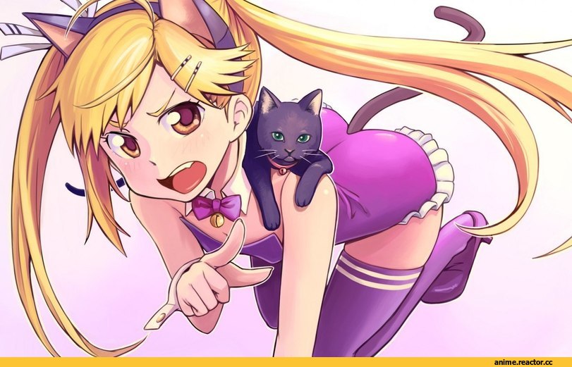 красивые картинки, котэ, female, Anime Art, Anime Original, Неко, Animal Ears, Anime