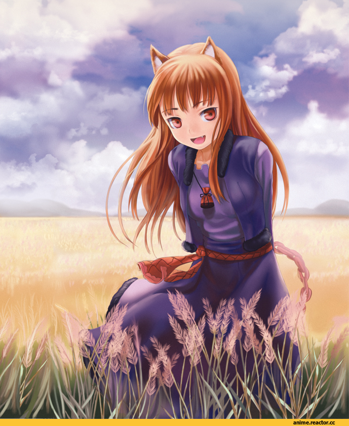 Spice and Wolf, Inumimi, Animal Ears, Anime