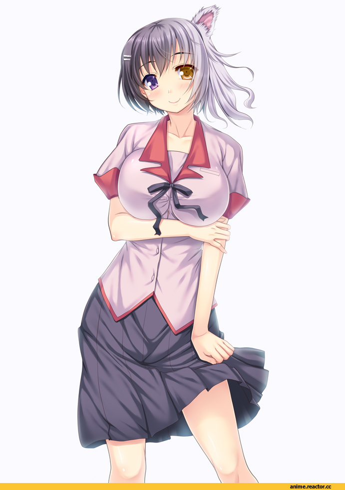 Monogatari (Series), Tsubasa Hanekawa, Неко, Animal Ears, Anime