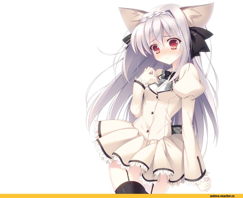 Tsuki ni Yorisou Otome no Sahou, Suzuhira Hiro, Неко, Animal Ears, Anime