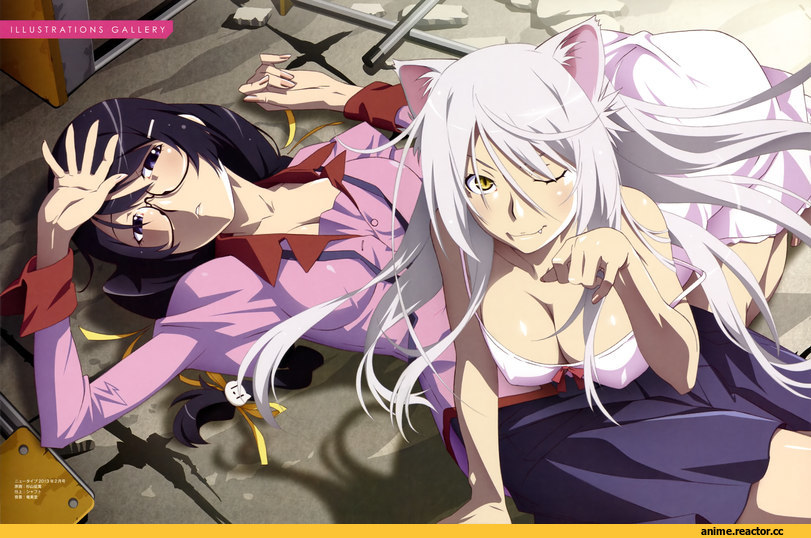 Monogatari (Series), Black Hanekawa, Неко, Animal Ears, Anime