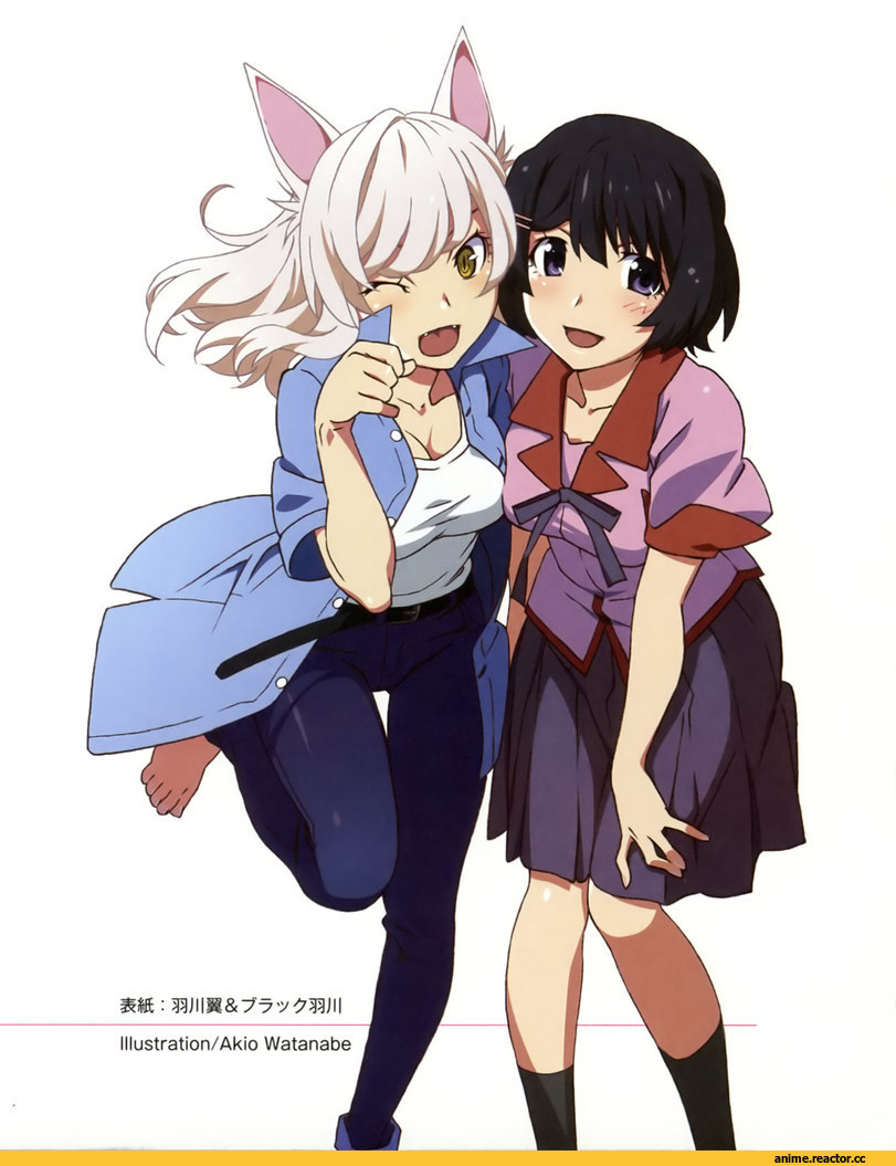 Monogatari Series, Black Hanekawa, Неко, Animal Ears, Anime