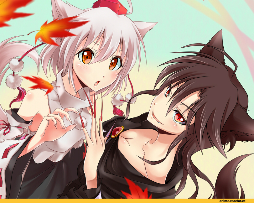 Touhou Project, Inubashiri Momiji, Imaizumi Kagerou, Animal Ears, Inumimi, Anime