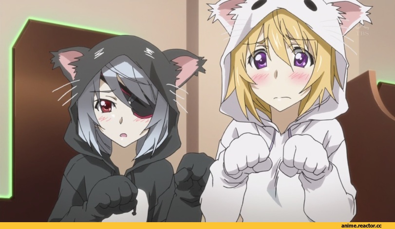 Infinite Stratos 2, Animal Ears, nekomimi, Anime