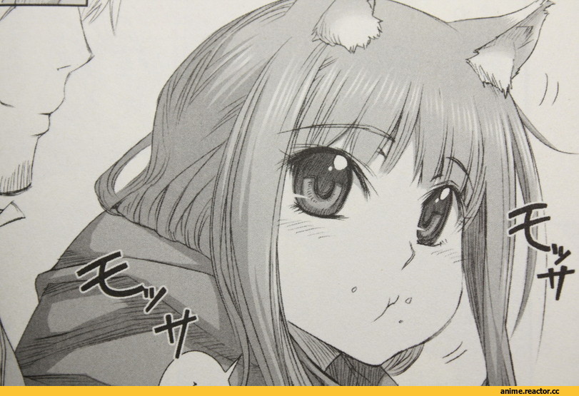 Spice and Wolf, Inumimi, Animal Ears, Horo, Anime