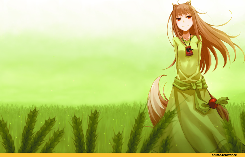 Spice and Wolf, Inumimi, Animal Ears, Holo, art, красивые картинки, wallpaper, Anime