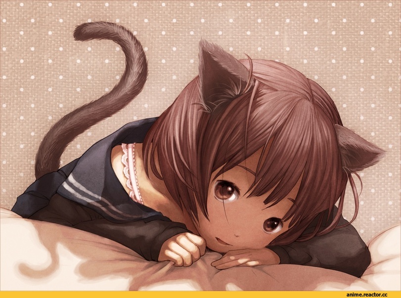 neko, Animal Ears, Anime