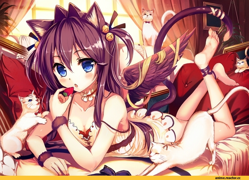 Animal Ears, neko, Anime