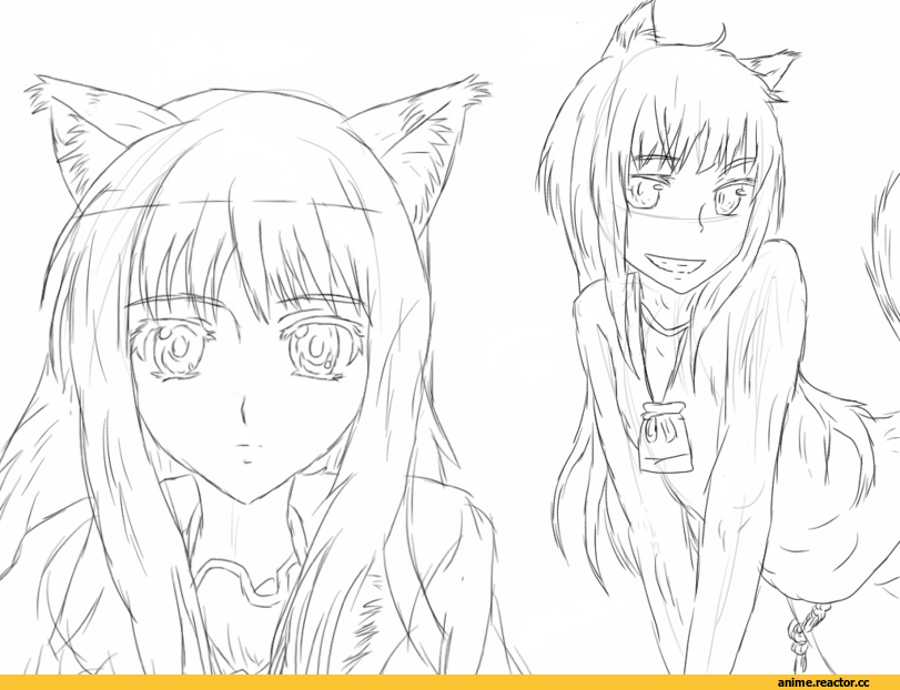 Anime Art, Horo, Spice and Wolf, Inumimi, Animal Ears, Anime