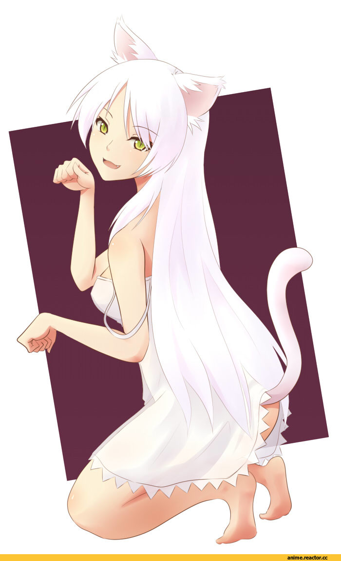 Tsubasa Hanekawa, Monogatari (Series), Animal Ears, neko, Anime