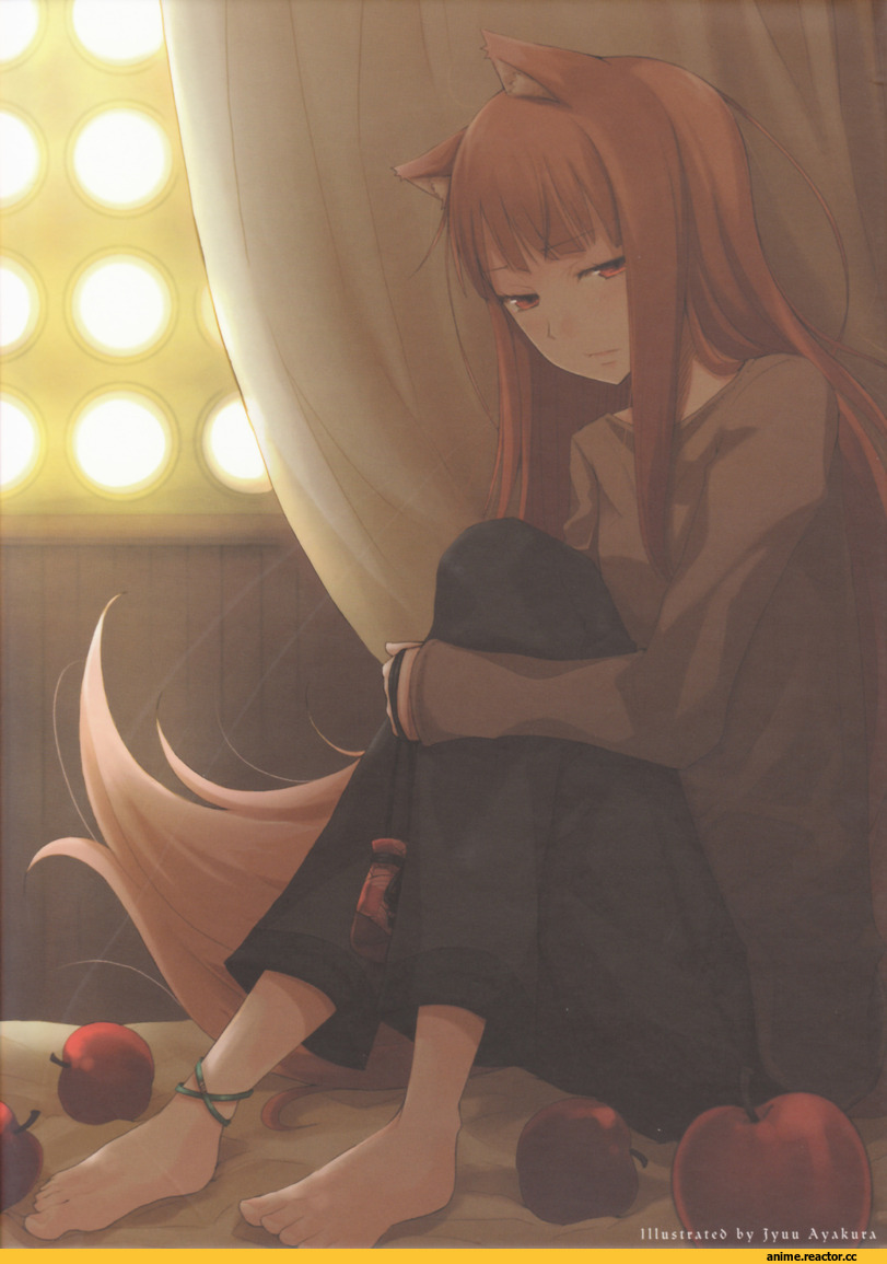 Holo, Spice and Wolf, Inumimi, Animal Ears, Anime