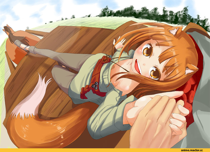 Horo, Spice and Wolf, Inumimi, Animal Ears, Anime