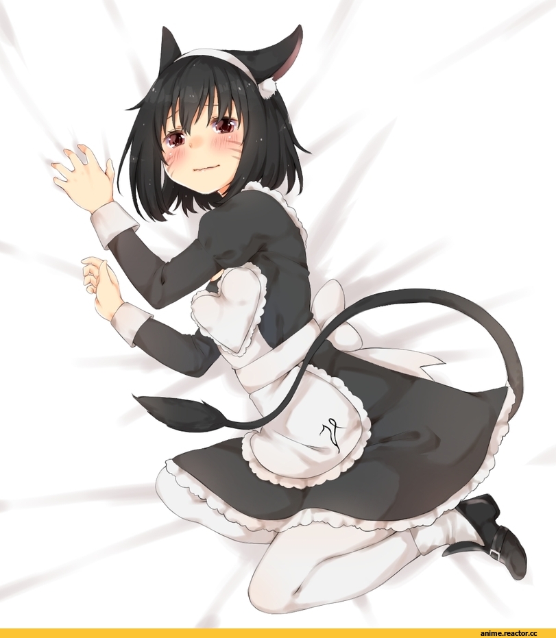 nekomimi, Animal Ears, Maid, Anime Original, Anime Art, Anime