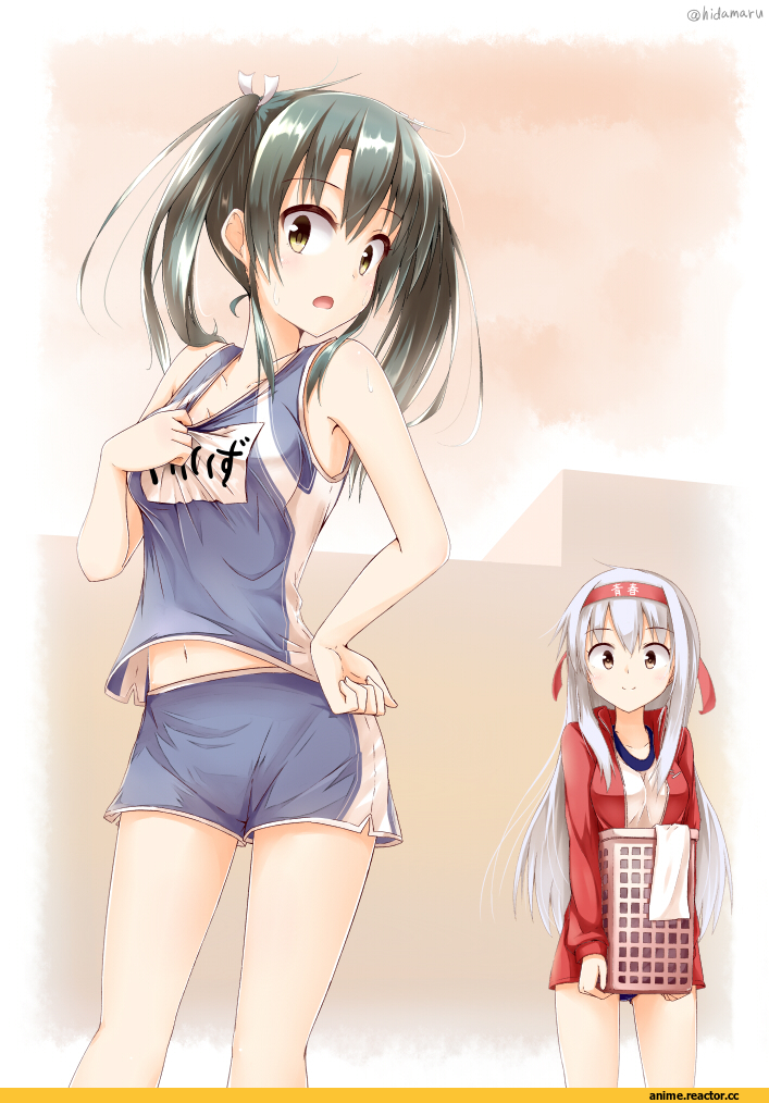 Shoukaku, Zuikaku (Kantai Collection), Kantai Collection, Anime