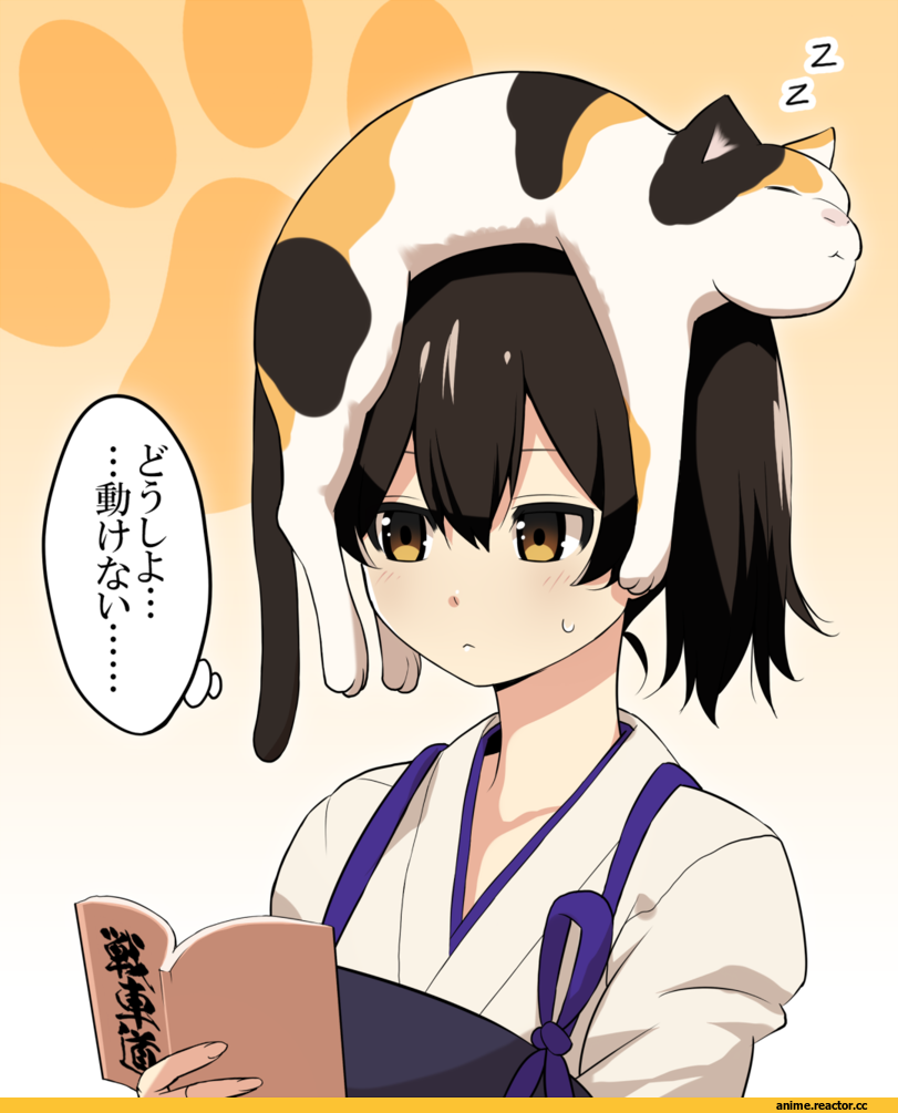 Kantai Collection, Kaga (Kantai Collection), Anime