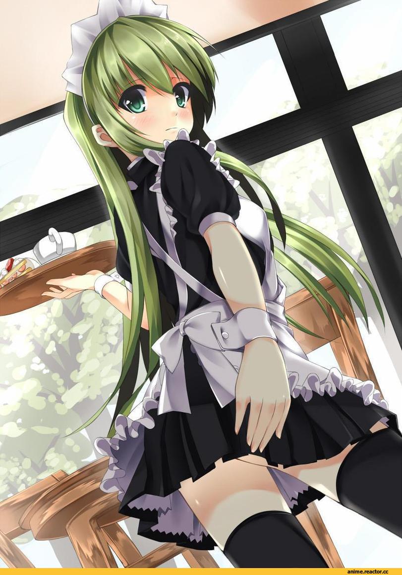 Maid, Anime