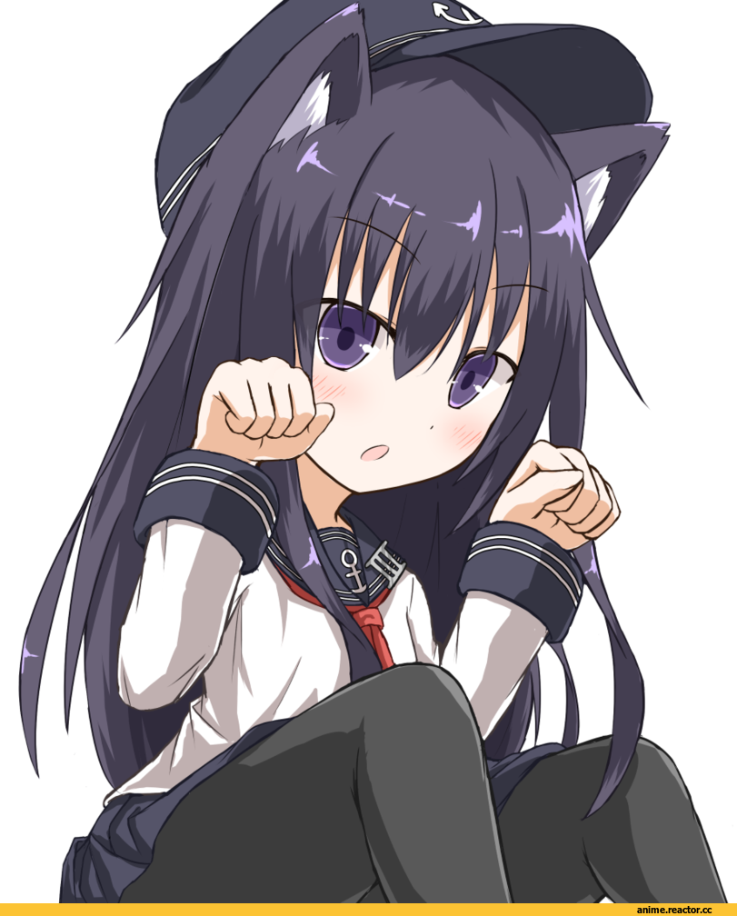 Akatsuki, Kantai Collection, Неко, Animal Ears, yamato tachibana, Anime