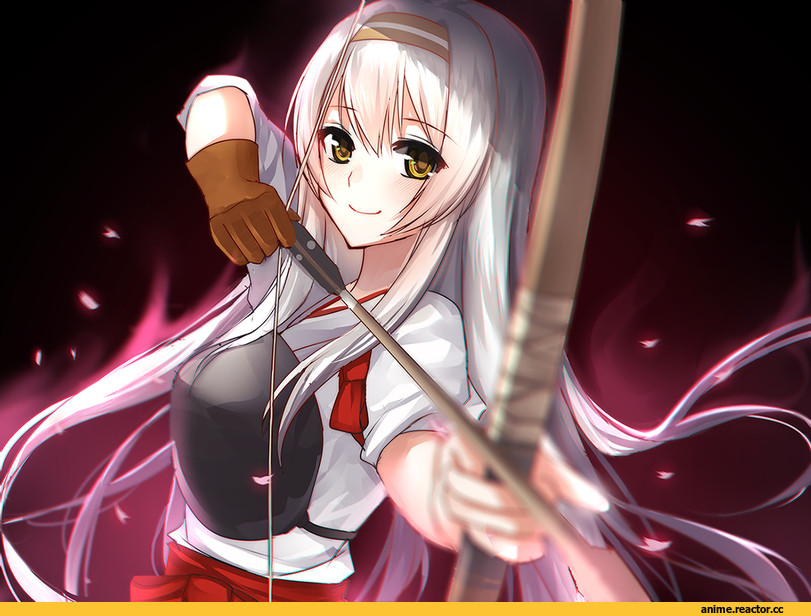 Kantai Collection, Shoukaku, Anime