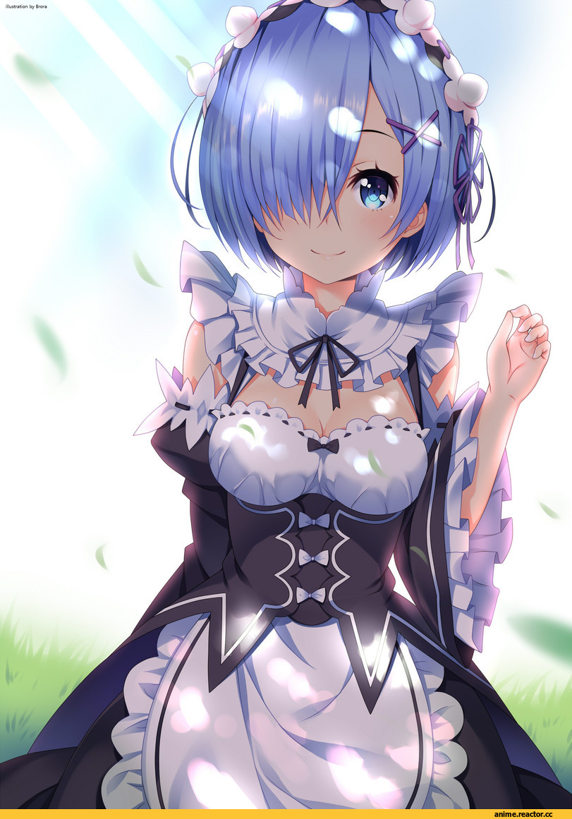 Re Zero Kara Hajimeru Isekai Seikatsu, Rem (re zero), brora, Anime