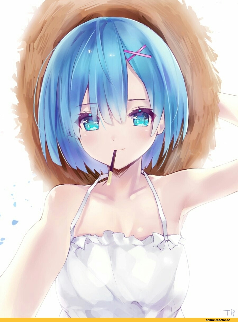 Re Zero Kara Hajimeru Isekai Seikatsu, Rem (re zero), tr (kangtw123), Anime