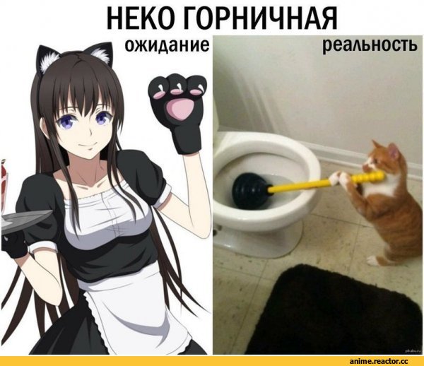 горничная, Неко, Animal Ears, удалённое, Anime