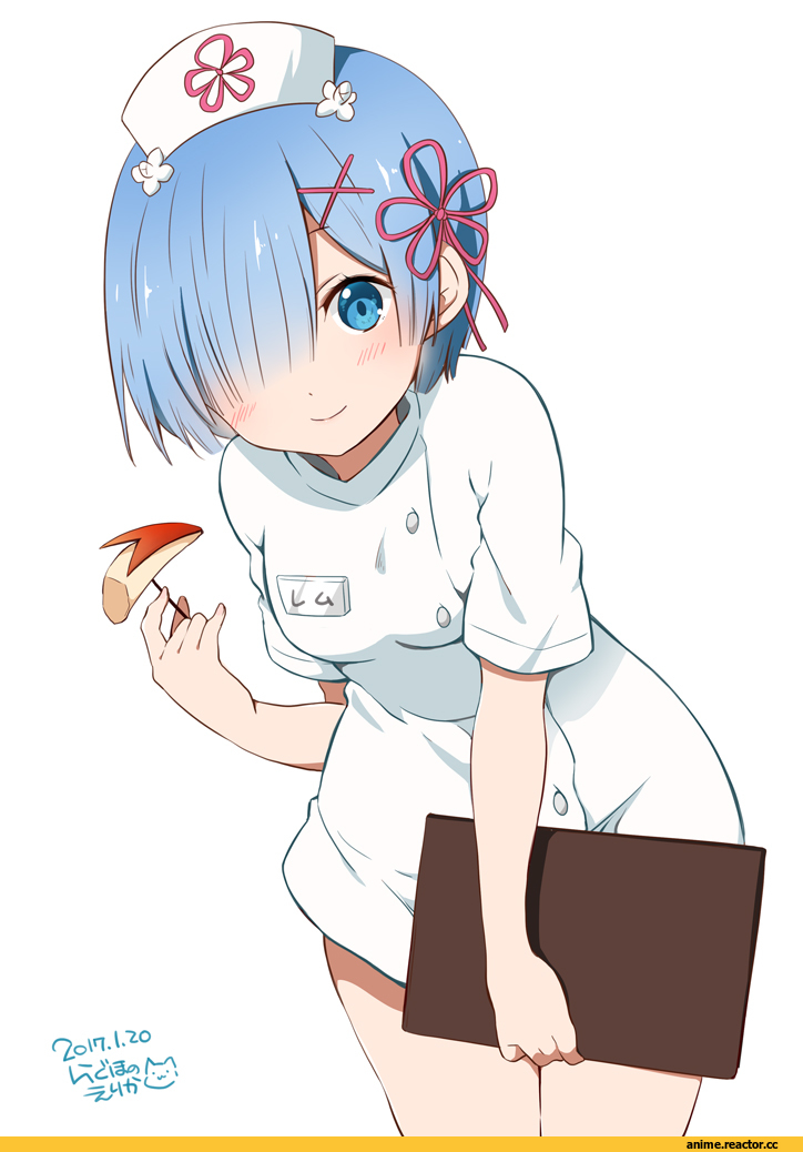 Re Zero Kara Hajimeru Isekai Seikatsu, Rem (re zero), ragho no erika, Anime