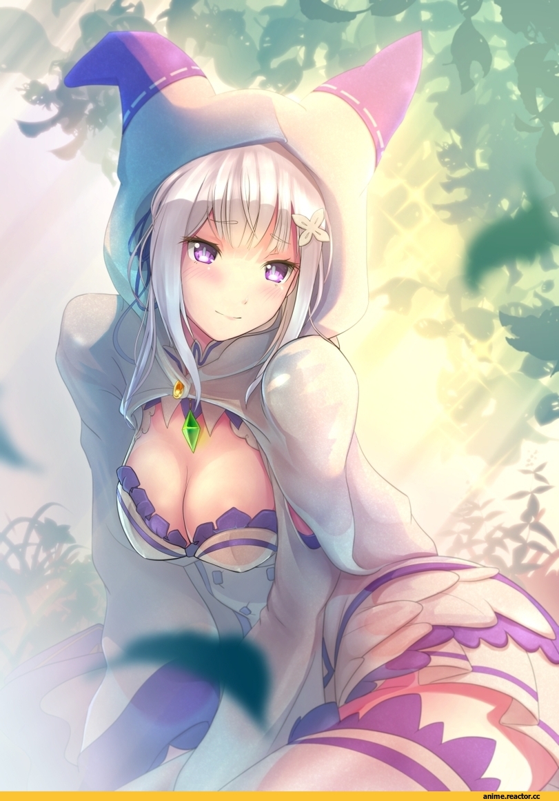 Emilia (re zero), Re Zero Kara Hajimeru Isekai Seikatsu, Anime