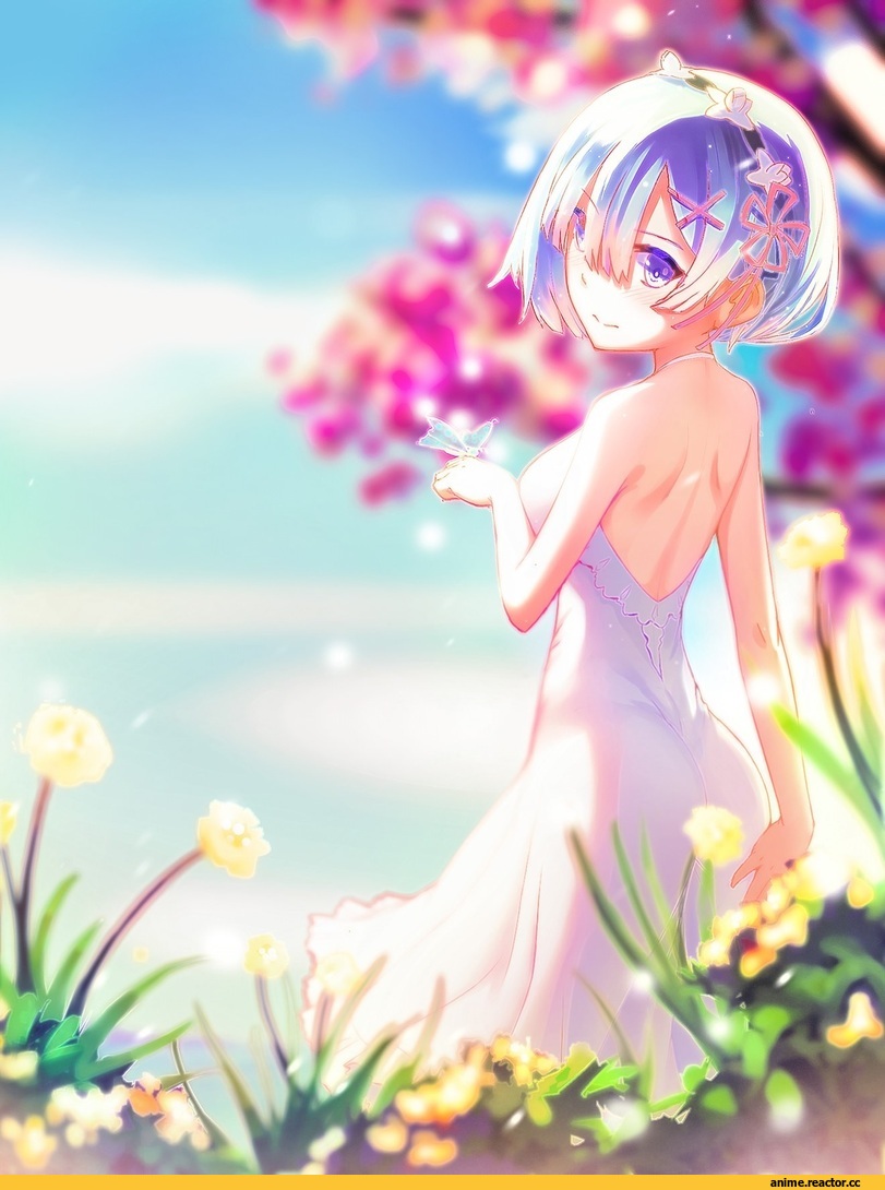 Rem (re zero), Re Zero Kara Hajimeru Isekai Seikatsu, Anime