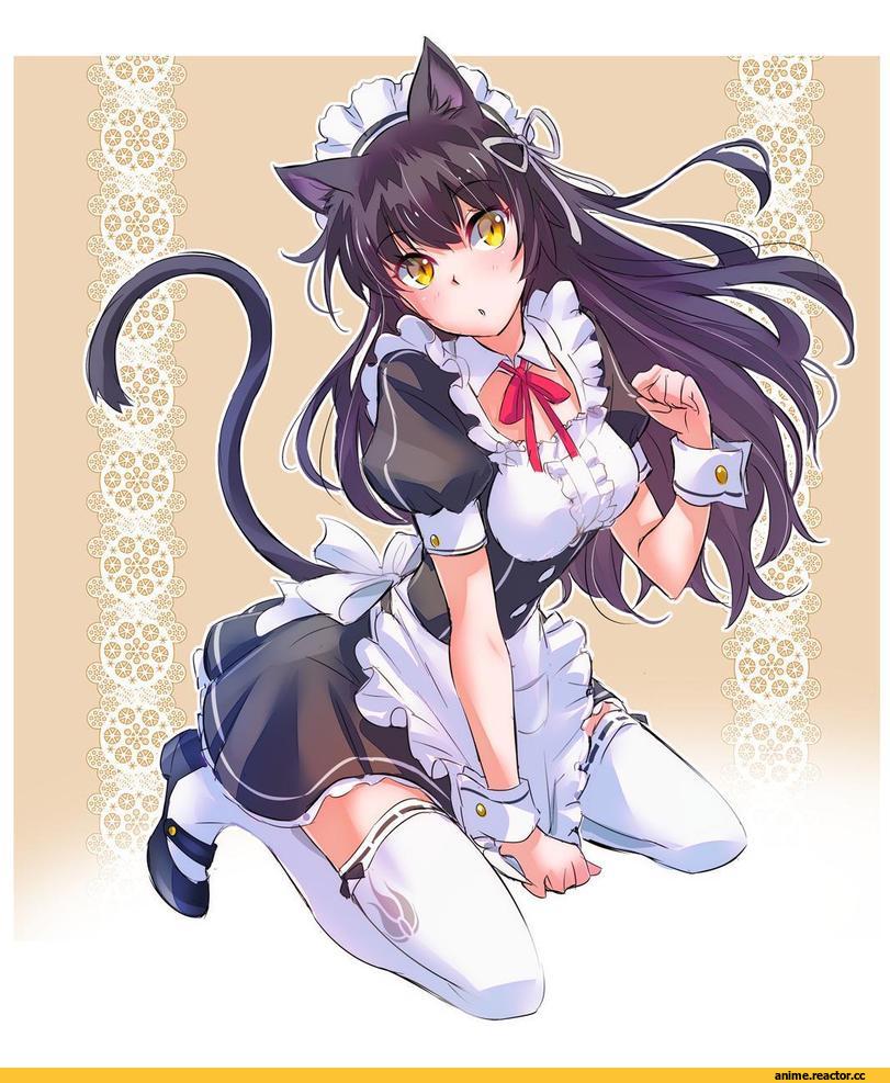 RWBY, Blake Belladonna, Iesupa, artist, neko, Animal Ears, Maid, Anime