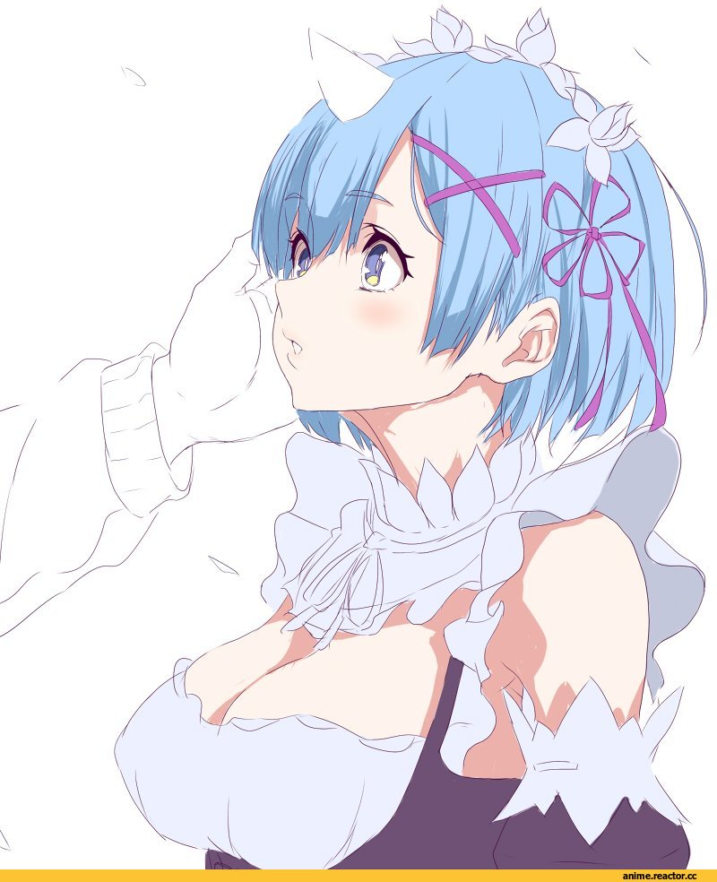 Rem (re zero), Re Zero Kara Hajimeru Isekai Seikatsu, hashimoto (frog flag), Anime