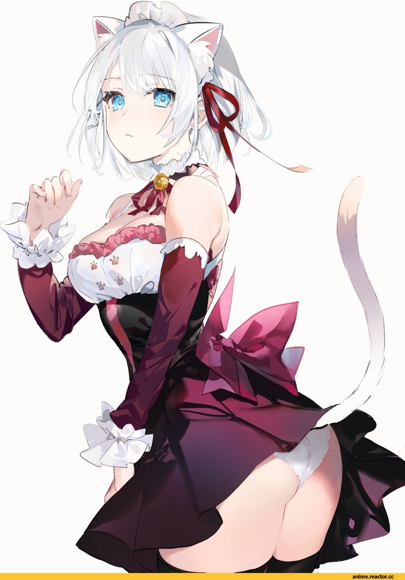 nekomimi, Animal Ears, Anime Ero Pantsu, Anime Ero, Maid, oshiri, Anime