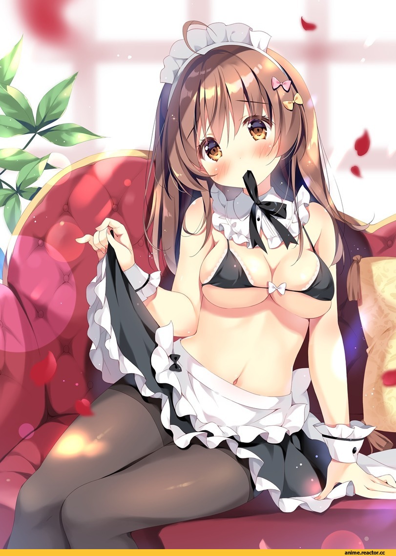 AO, Maid, Anime Ero Swim, Anime Ero, pan (mimi), Anime