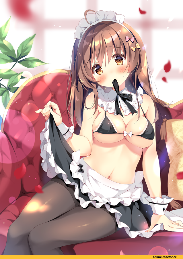 AO, Maid, Anime Ero Swim, Anime Ero, pan (mimi), Anime