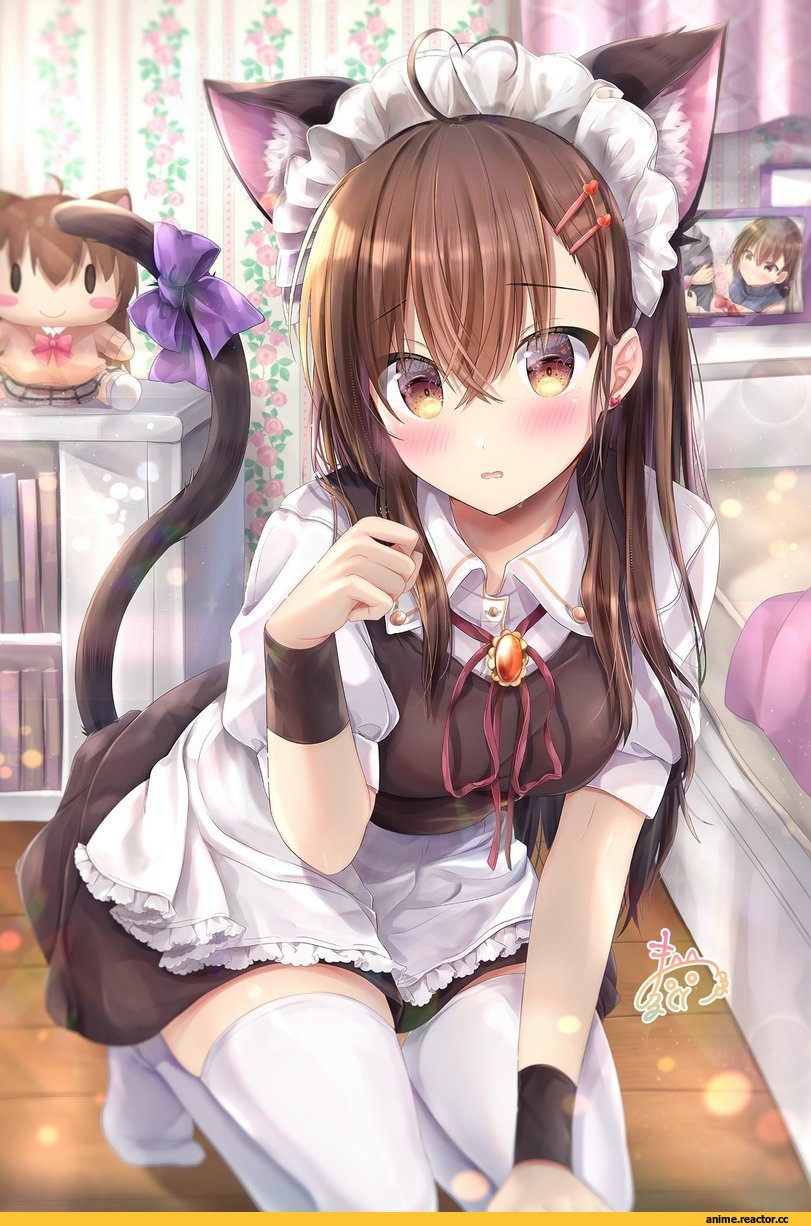 AO, Maid, nekomimi, Animal Ears, maruma (maruma gic), Anime